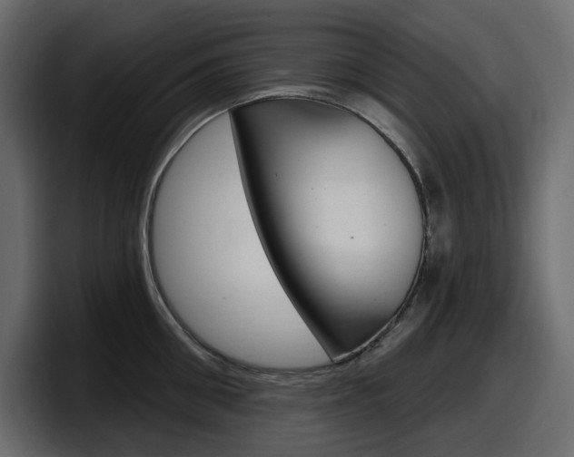 X0000098050906200803280728
