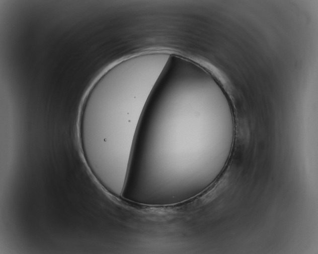 X0000098050910200803280727