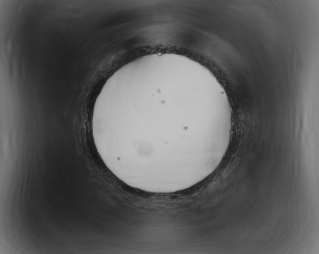 X0000098050918200803280727