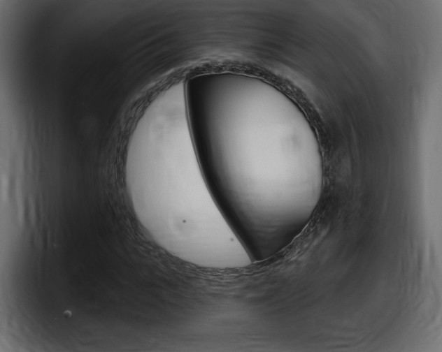 X0000098050919200803280727