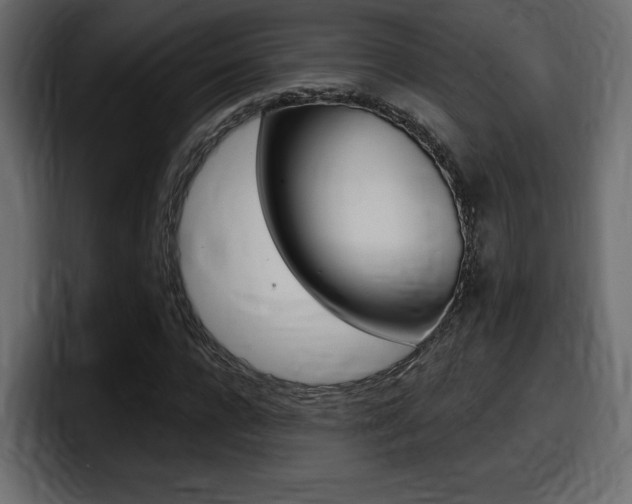 X0000098050920200803280727
