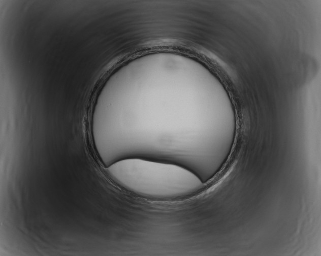 X0000098050921200803280727