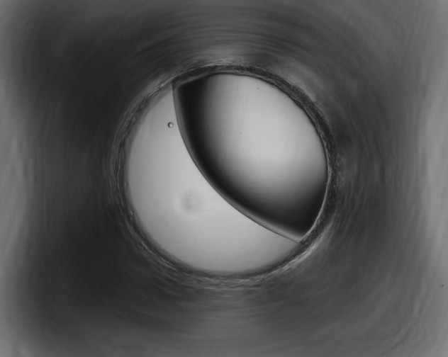 X0000098050922200803280727