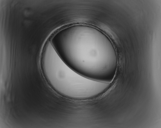 X0000098050924200803280727