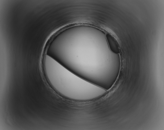 X0000098050928200803280727
