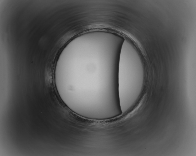 X0000098050929200803280727