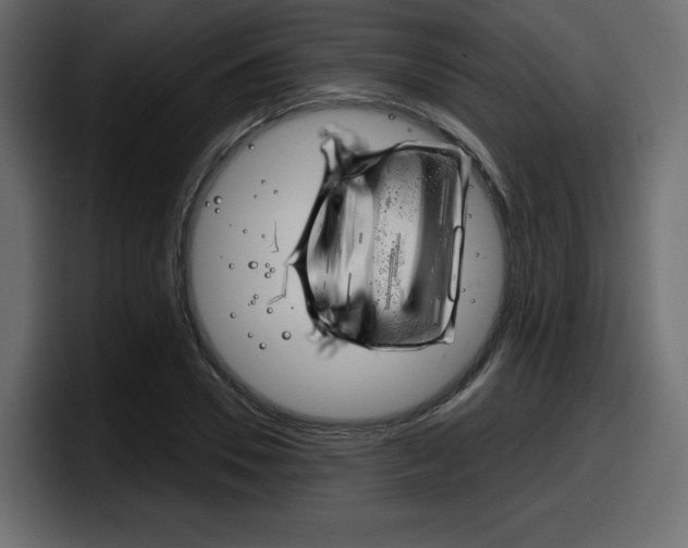 X0000098050930200803280727