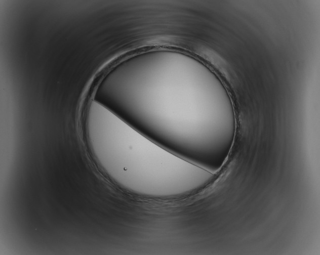X0000098050931200803280727