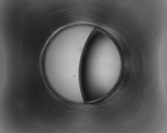 X0000098050934200803280727