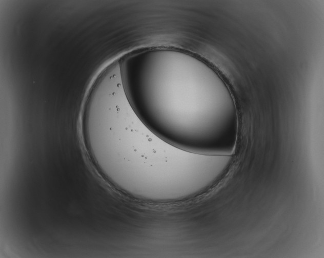 X0000098050936200803280727