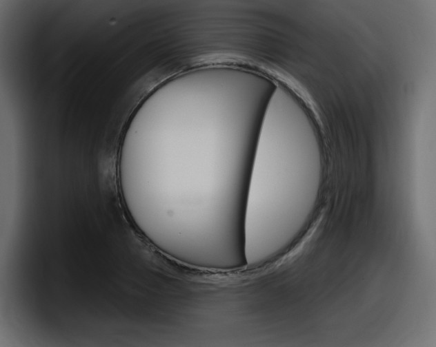 X0000098050937200803280727