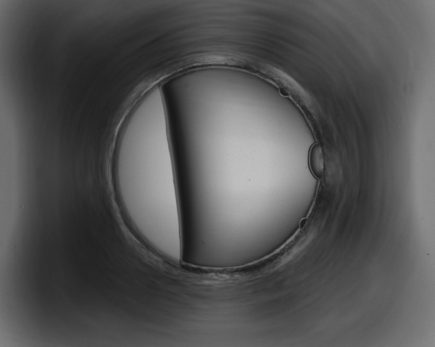 X0000098050938200803280727