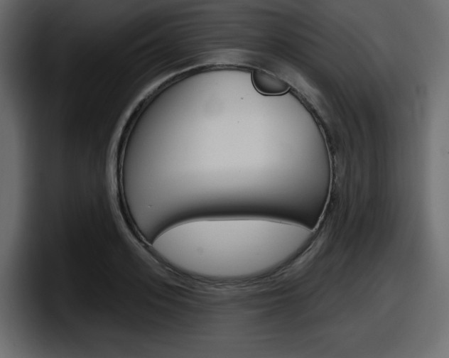 X0000098050939200803280727