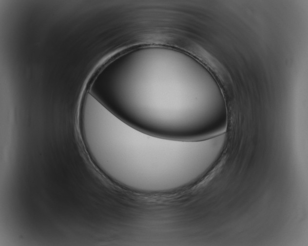 X0000098050940200803280727