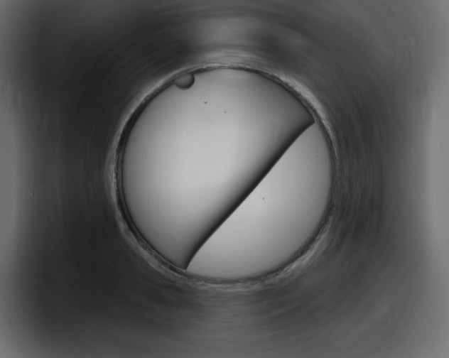 X0000098050941200803280727
