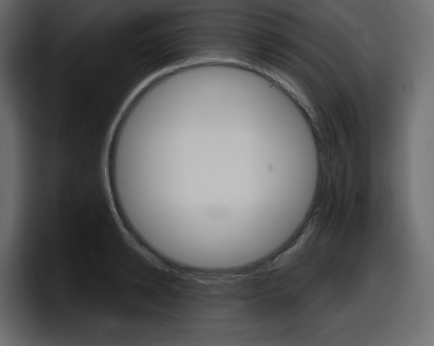 X0000098050942200803280727