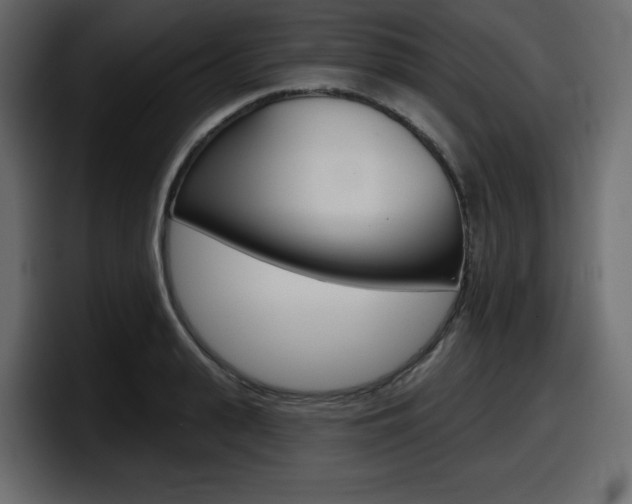 X0000098050943200803280727