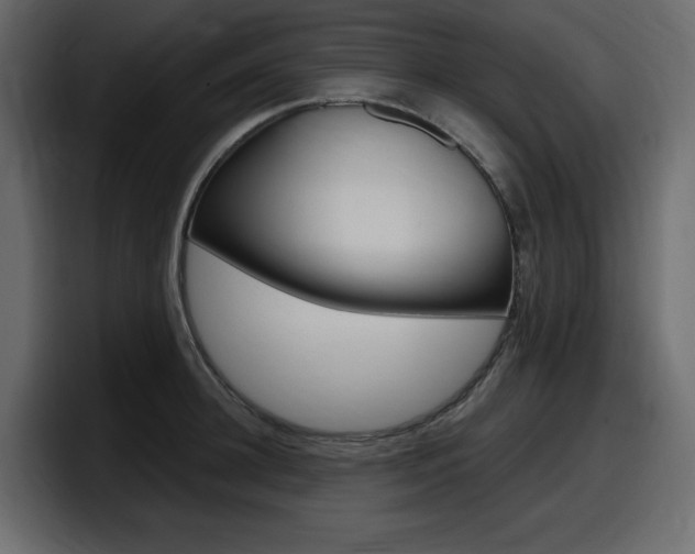 X0000098050948200803280727