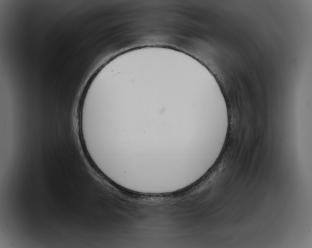 X0000098050950200803280727
