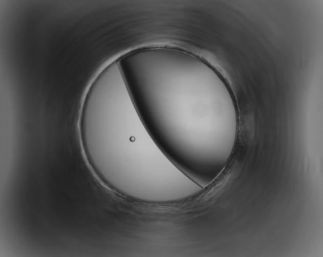 X0000098050951200803280727