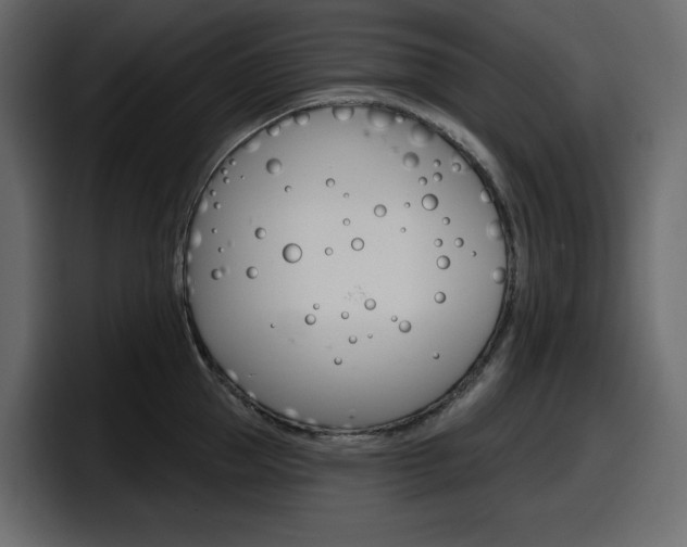 X0000098050953200803280727