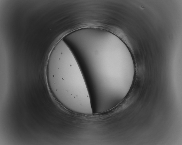 X0000098050954200803280727