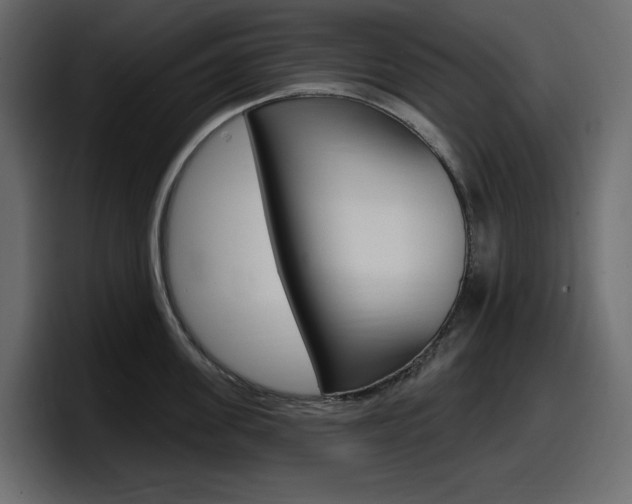 X0000098050955200803280727