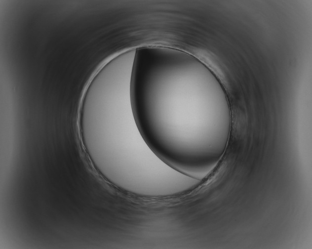 X0000098050956200803280727