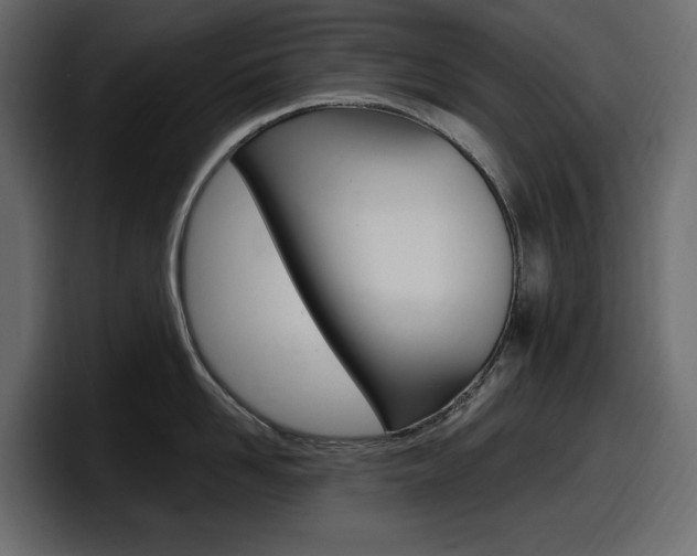 X0000098050958200803280727