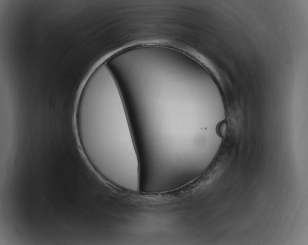 X0000098050959200803280727