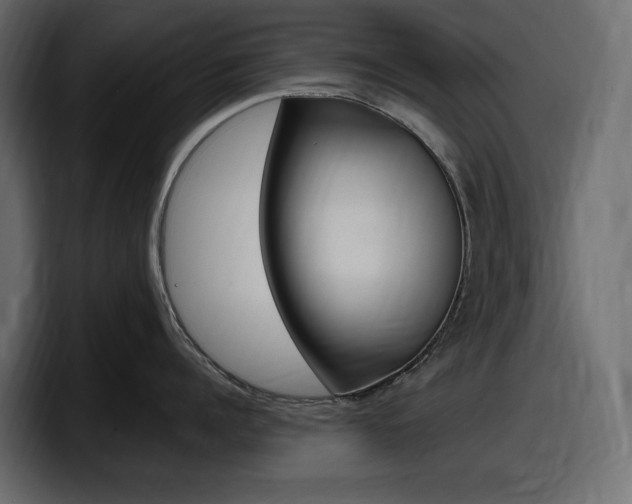 X0000098050960200803280727