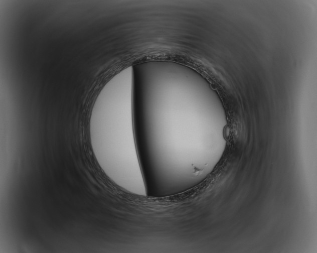 X0000098050964200803280727