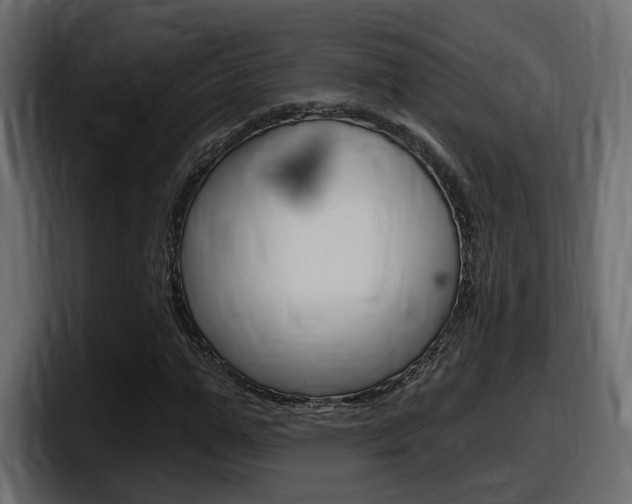 X0000098050967200803280727