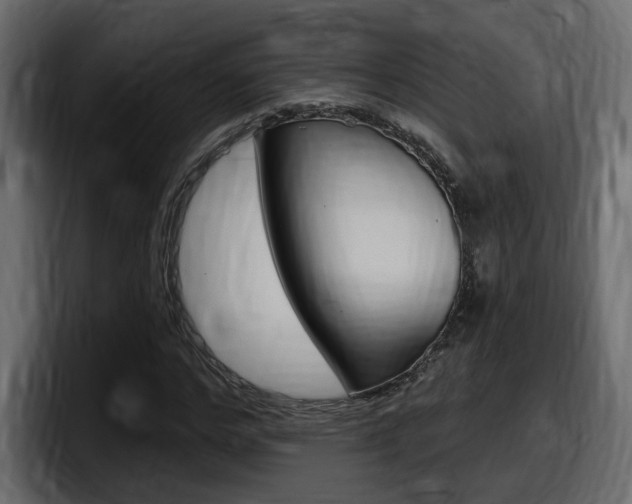 X0000098050968200803280727