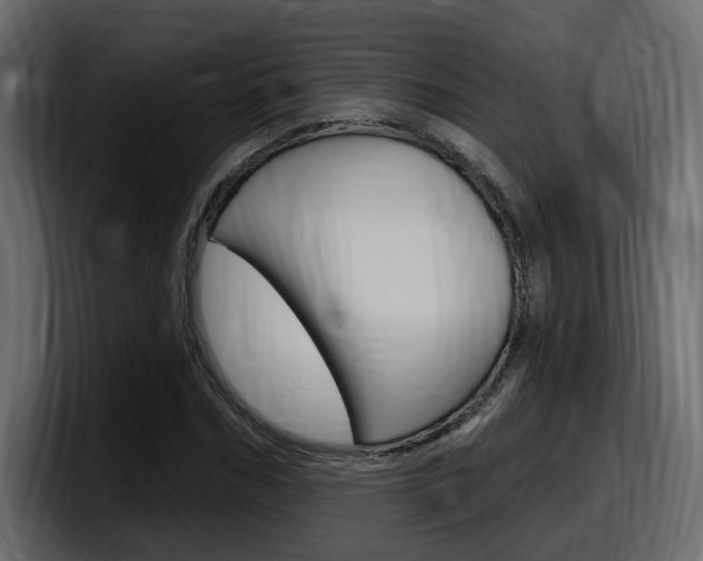 X0000098050970200803280727