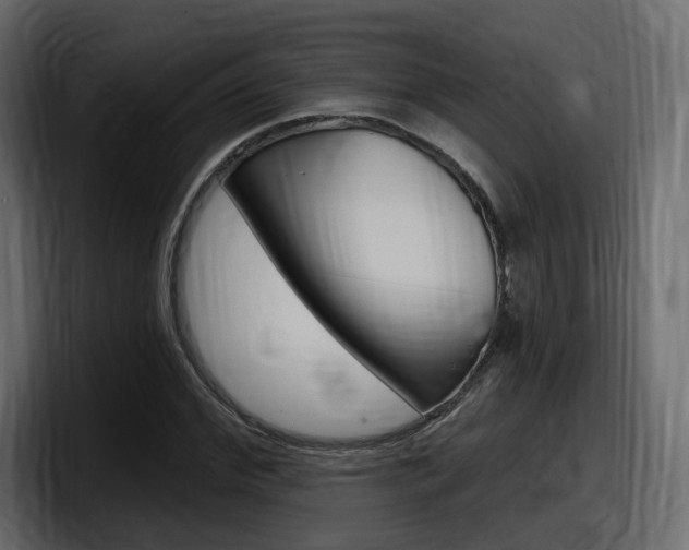 X0000098050972200803280727