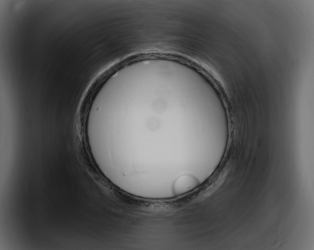 X0000098050974200803280727