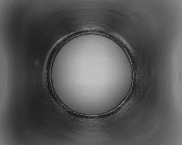 X0000098050975200803280727