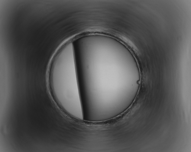 X0000098050976200803280727