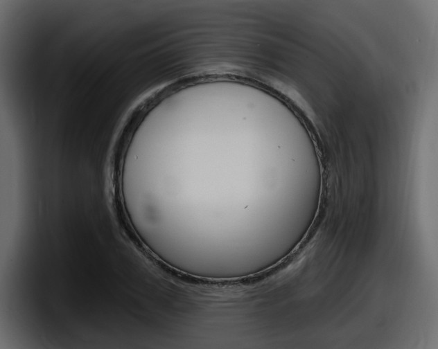 X0000098050979200803280727