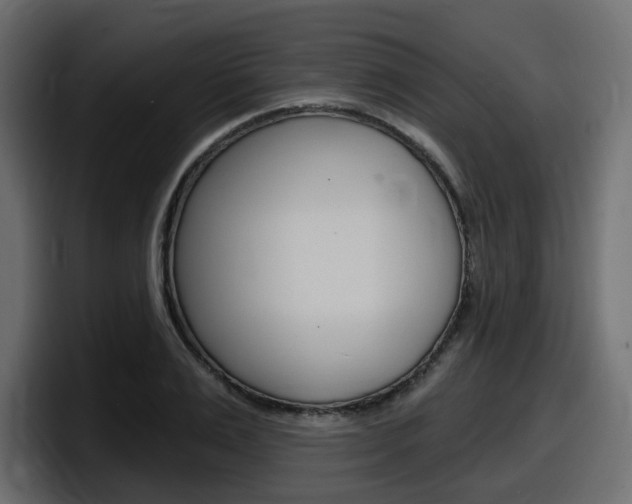 X0000098050983200803280727