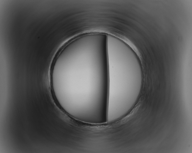 X0000098050988200803280726