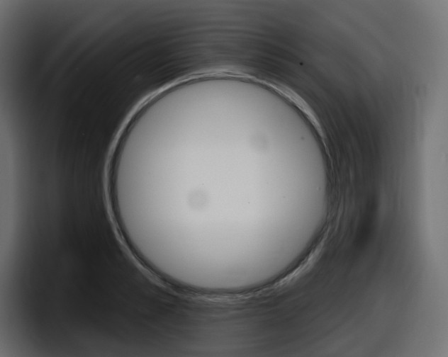 X0000098050989200803280726