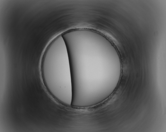 X0000098050990200803280726