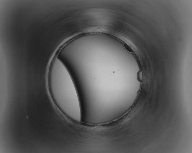 X0000098050992200803280726