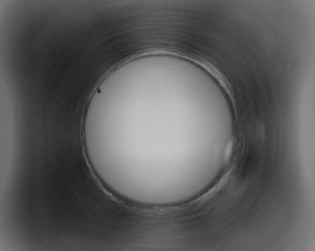 X0000098050993200803280726