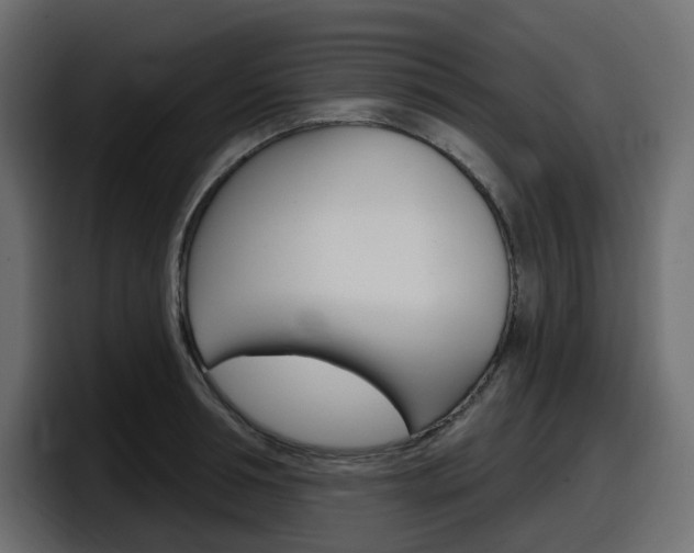 X0000098050994200803280726