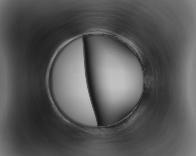 X0000098050995200803280726
