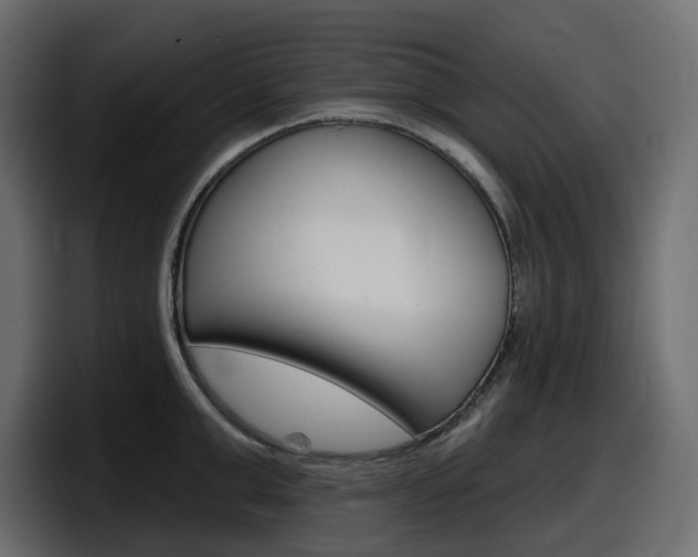X0000098050999200803280726