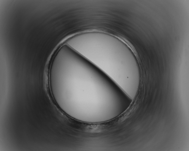 X0000098051000200803280726